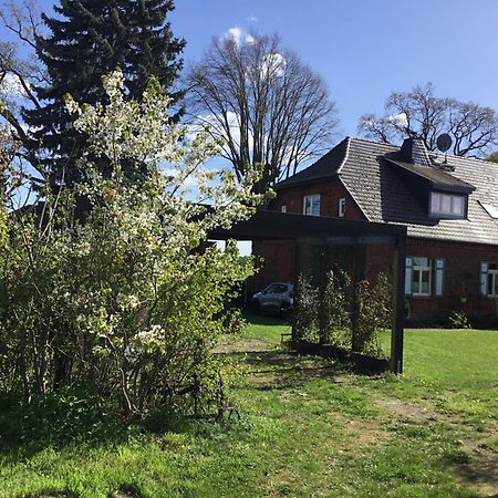 Zum Schwalbennest Daire Wredenhagen Dış mekan fotoğraf