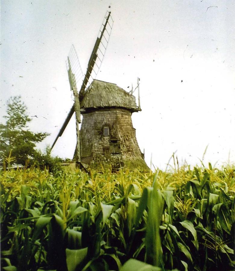 Zum Schwalbennest Daire Wredenhagen Dış mekan fotoğraf